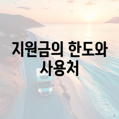지원금의 한도와 사용처