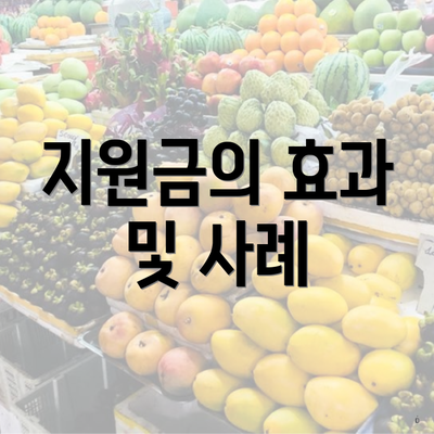 지원금의 효과 및 사례