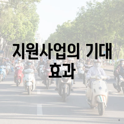 지원사업의 기대 효과
