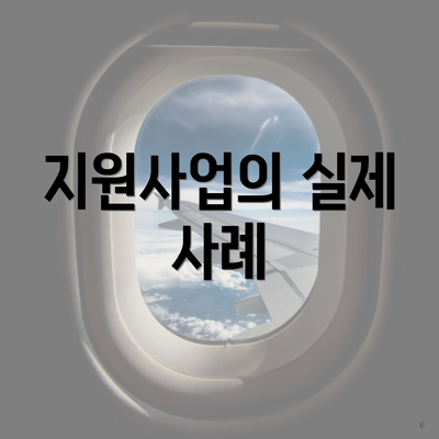 지원사업의 실제 사례