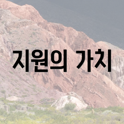 지원의 가치