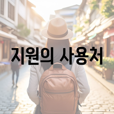지원의 사용처