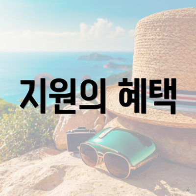 지원의 혜택