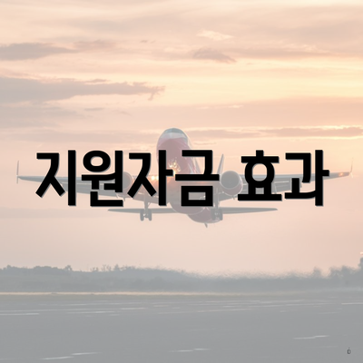 지원자금 효과