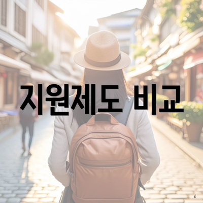 지원제도 비교