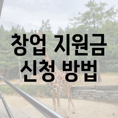 창업 지원금 신청 방법