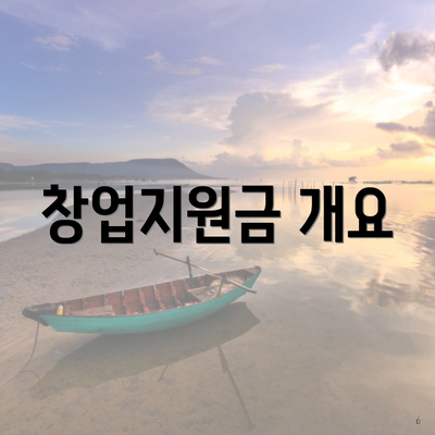 창업지원금 개요