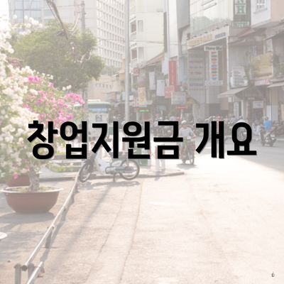 창업지원금 개요