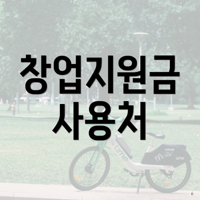 창업지원금 사용처