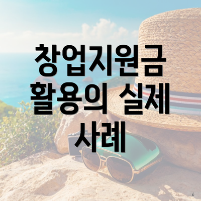 창업지원금 활용의 실제 사례