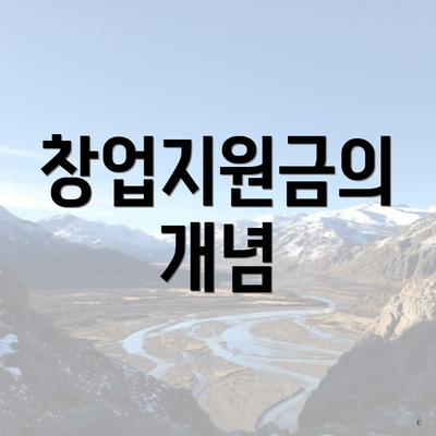 창업지원금의 개념
