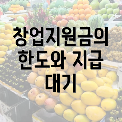 창업지원금의 한도와 지급 대기