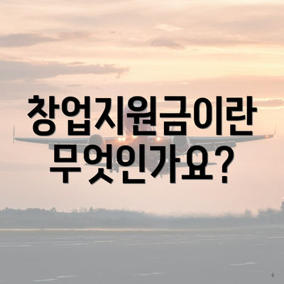 창업지원금이란 무엇인가요?