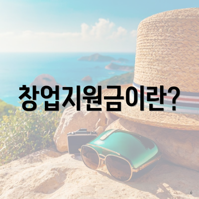 창업지원금이란?