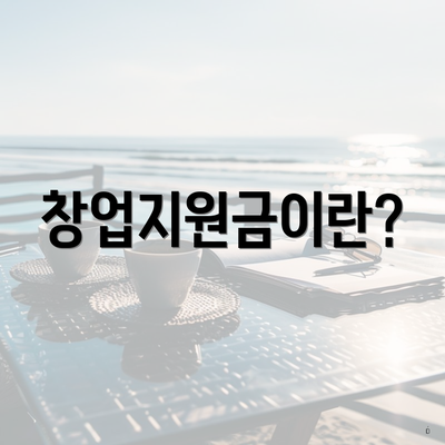창업지원금이란?