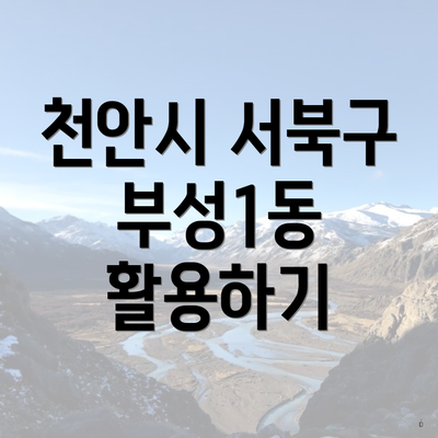 천안시 서북구 부성1동 활용하기