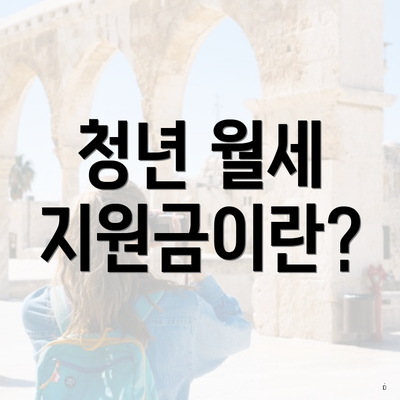 청년 월세 지원금이란?