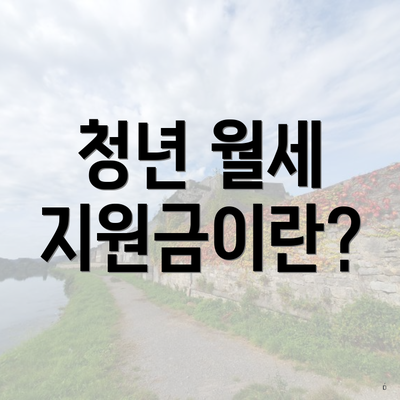 청년 월세 지원금이란?