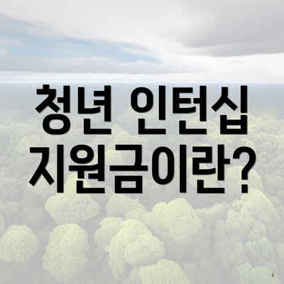 청년 인턴십 지원금이란?