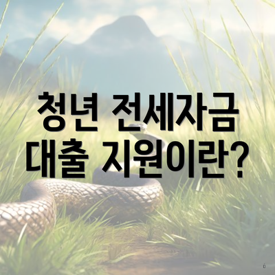 청년 전세자금 대출 지원이란?