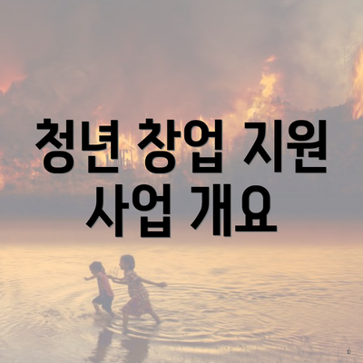 청년 창업 지원 사업 개요