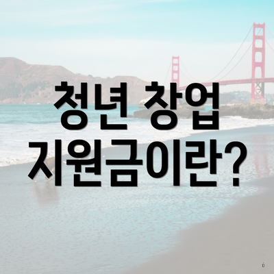청년 창업 지원금이란?