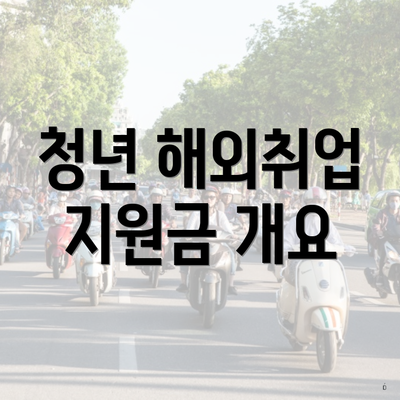 청년 해외취업 지원금 개요