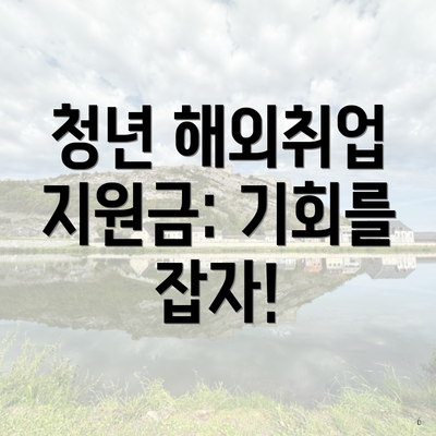 청년 해외취업 지원금: 기회를 잡자!