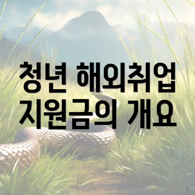 청년 해외취업 지원금의 개요