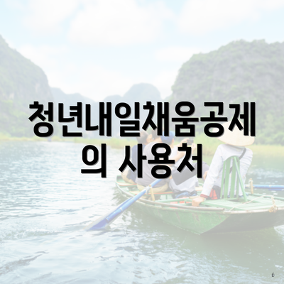 청년내일채움공제의 사용처