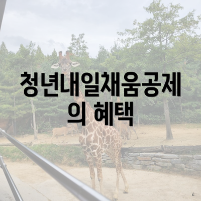 청년내일채움공제의 혜택