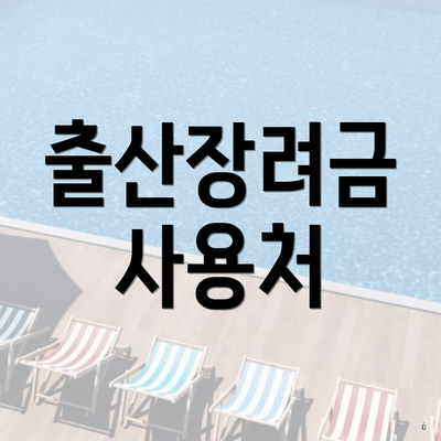 출산장려금 사용처