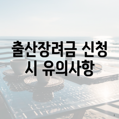 출산장려금 신청 시 유의사항