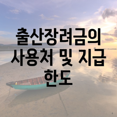 출산장려금의 사용처 및 지급 한도