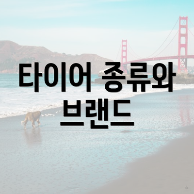 타이어 종류와 브랜드