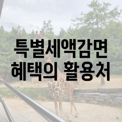 특별세액감면 혜택의 활용처