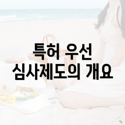 특허 우선 심사제도의 개요