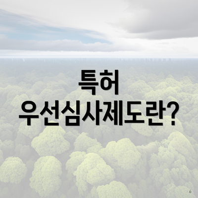 특허 우선심사제도란?