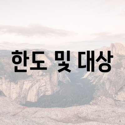 한도 및 대상