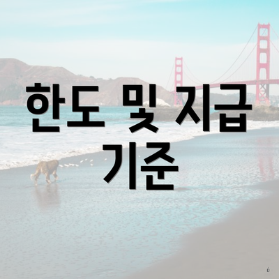 한도 및 지급 기준