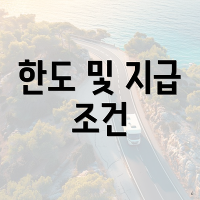 한도 및 지급 조건