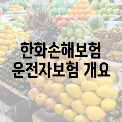 한화손해보험 운전자보험 개요