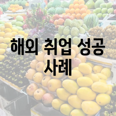 해외 취업 성공 사례