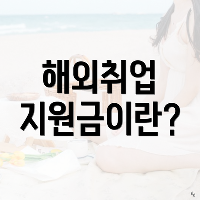 해외취업 지원금이란?