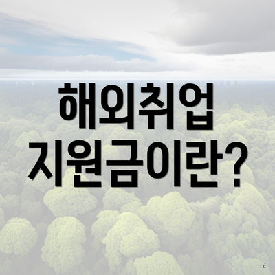 해외취업 지원금이란?