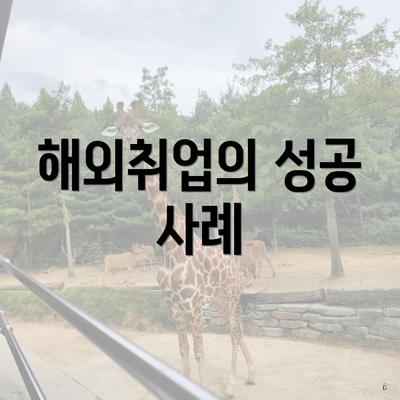 해외취업의 성공 사례