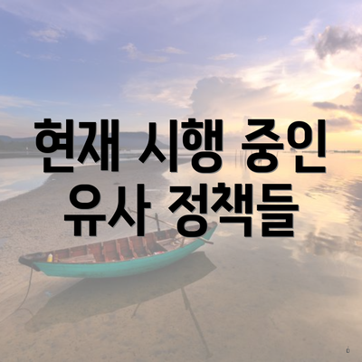 현재 시행 중인 유사 정책들