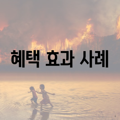 혜택 효과 사례