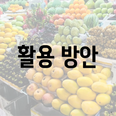 활용 방안