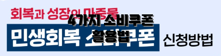 4가지 소비쿠폰 활용법